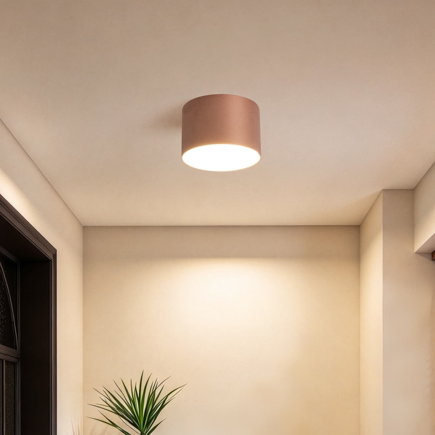 BRILAGI - Luminaria de techo exterior FORIS LED/9W/230V Ø 9 cm bronce IP44