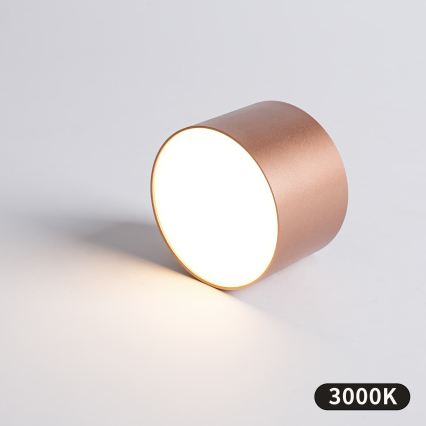 BRILAGI - Luminaria de techo exterior FORIS LED/9W/230V Ø 9 cm bronce IP44