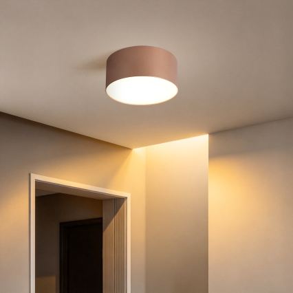 BRILAGI - Lámpara de techo LED para exterior FORIS LED/14W/230V, Ø 12 cm, bronce, IP44