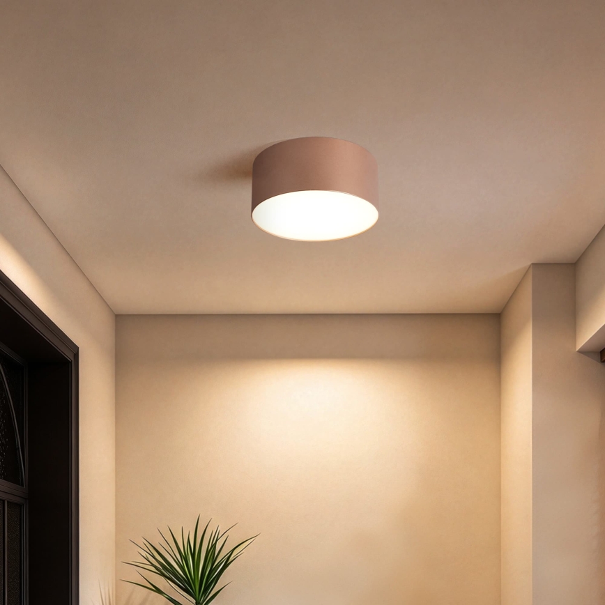BRILAGI - Lámpara de techo LED para exterior FORIS LED/14W/230V, Ø 12 cm, bronce, IP44