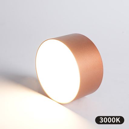 BRILAGI - Lámpara de techo LED para exterior FORIS LED/14W/230V, Ø 12 cm, bronce, IP44