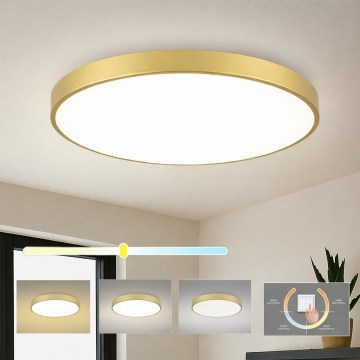 Brilagi - Luminaria de techo LED POOL LED/100W/230V 3000/4000/6000K diámetro 80 cm dorada