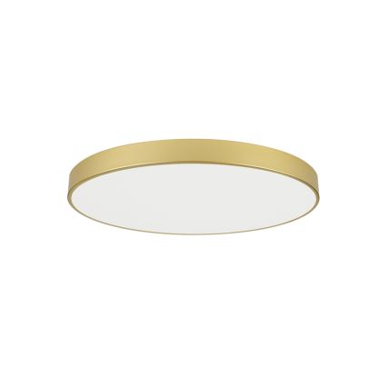 Brilagi - Luminaria de techo LED POOL LED/100W/230V 3000/4000/6000K diámetro 80 cm dorada
