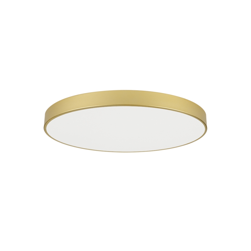 Brilagi - Luminaria de techo LED POOL LED/100W/230V 3000/4000/6000K diámetro 80 cm dorada