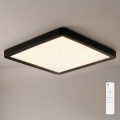 Brilagi - Luminaria de techo LED regulable ESTELA SQUARE LED/36W/230V 3000-6500K 31x31 cm negra + mando a distancia