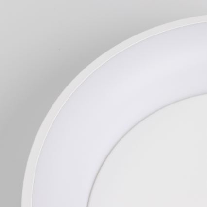 BRILAGI - Lámpara de techo LED regulable FALCON LED/80W/230V 3000-6500K Ø 60 cm blanca + mando a distancia