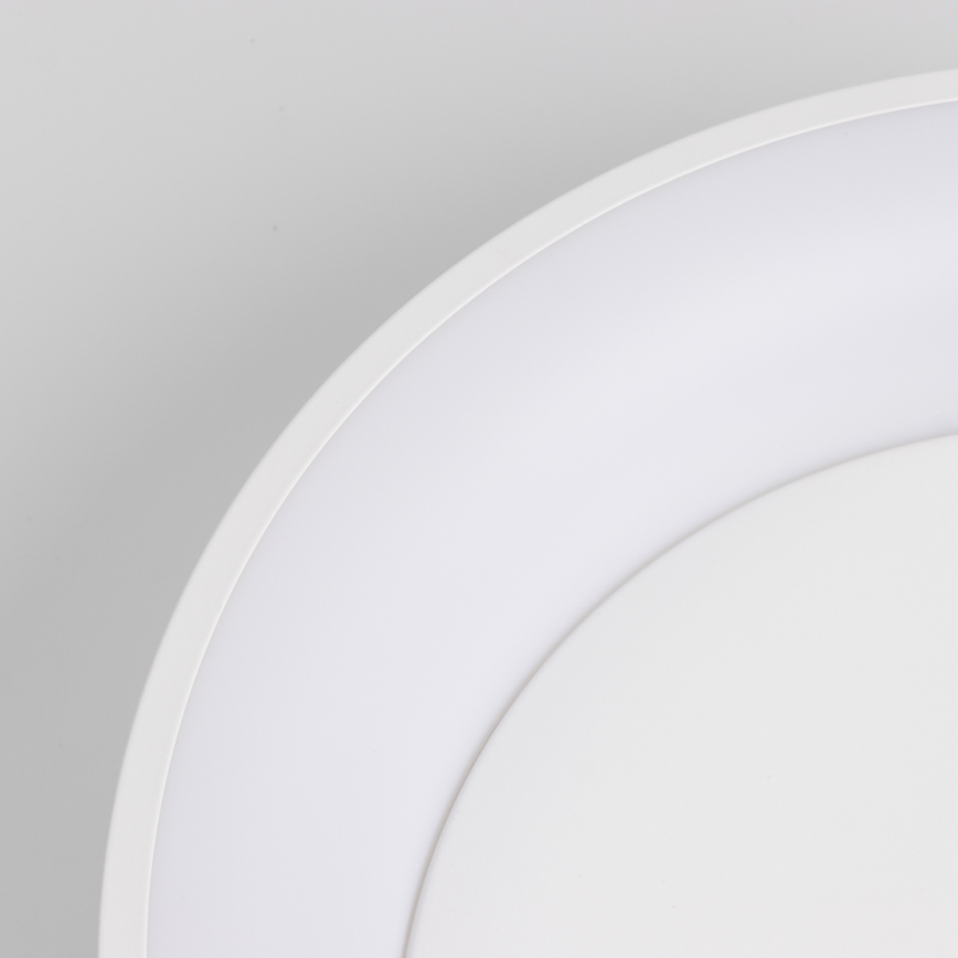 BRILAGI - Lámpara de techo LED regulable FALCON LED/80W/230V 3000-6500K Ø 60 cm blanca + mando a distancia