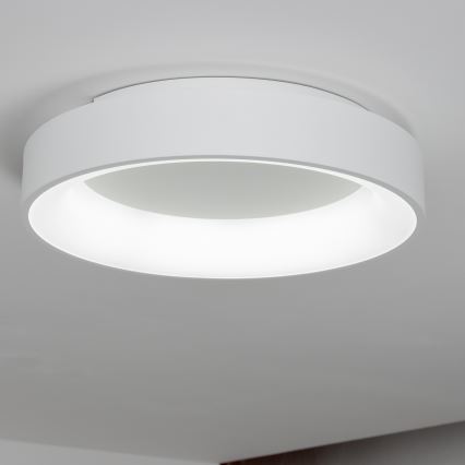 BRILAGI - Lámpara de techo LED regulable FALCON LED/80W/230V 3000-6500K Ø 60 cm blanca + mando a distancia