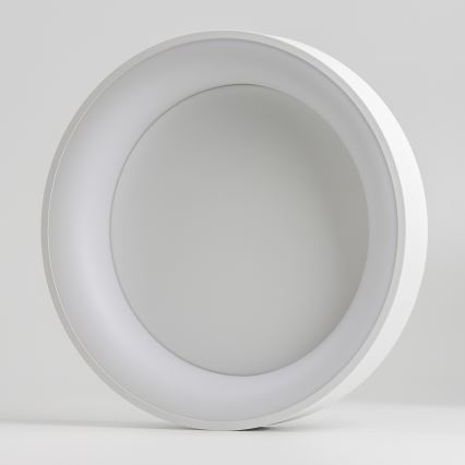 BRILAGI - Lámpara de techo LED regulable FALCON LED/80W/230V 3000-6500K Ø 60 cm blanca + mando a distancia