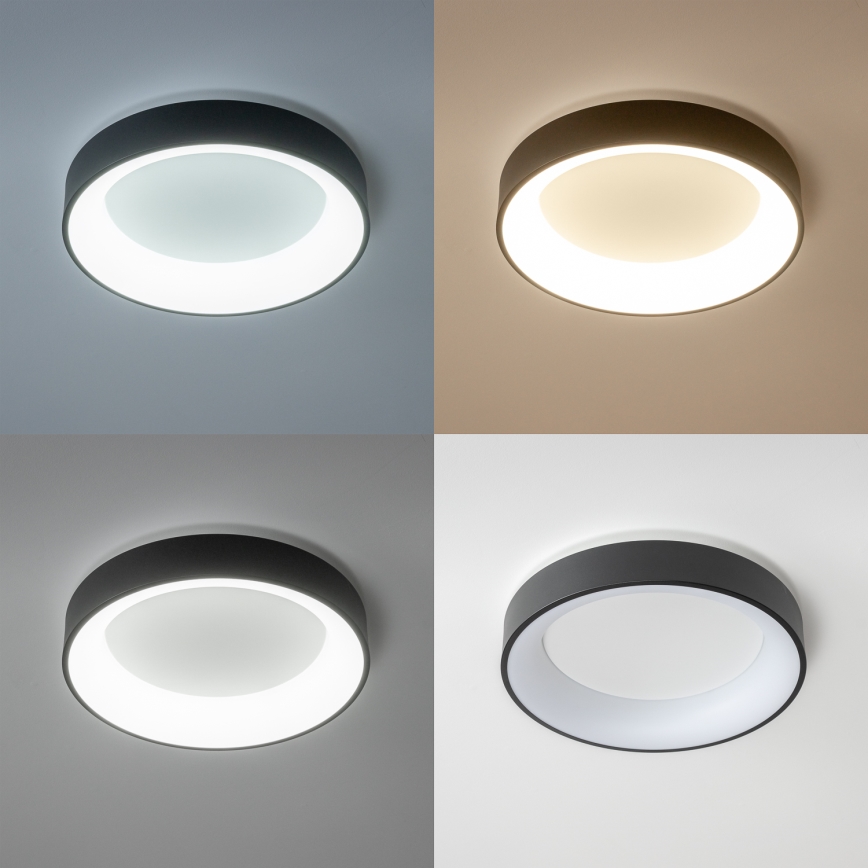 Brilagi - Luminaria de techo LED regulable FALCON LED/80W/230V 3000-6500K diámetro 60 cm negra + mando a distancia