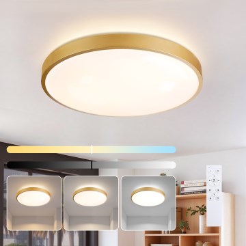 Brilagi - Luminaria de techo LED regulable GLASS POOL DOUBLE LED/60W/230V 3000-6000K 50 cm dorado + mando a distancia