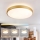 Brilagi - Luminaria de techo LED regulable GLASS POOL DOUBLE LED/60W/230V 3000-6000K 50 cm dorado + mando a distancia