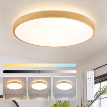 Brilagi - Luminaria de techo LED regulable GLASS POOL DOUBLE LED/80W/230V 3000-6000K 60 cm con acabado en madera + mando a distancia