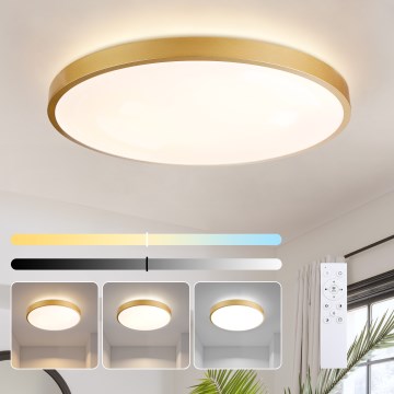 Brilagi - Luminaria de techo LED regulable GLASS POOL DOUBLE LED/80W/230V 3000-6000K 60 cm dorada + mando a distancia