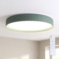 Brilagi - Luminaria de techo LED regulable LUCIA LED/60W/230V 3000-6500K Ø 59 cm verde + control remoto