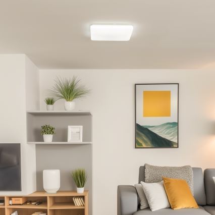 Brilagi - Lámpara de techo LED regulable OPAL LED/24W/230V 37,5x37,5 cm 3000/4000/6500K + mando a distancia