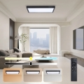 Brilagi - Luminaria de techo LED regulable para baño FRAME SMART LED/30W/230V 30x60 cm 3000-6000K  IP44 negra  + control remoto