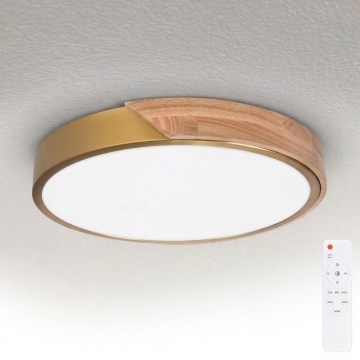 BRILAGI - Luminaria de techo LED regulable PILANA LED/48W/230V 3000-6500K roble/dorado Ø 40 cm + mando a distancia