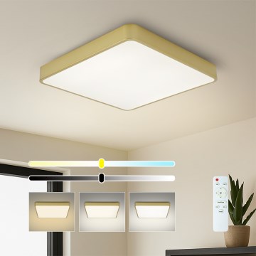Brilagi - Luminaria de techo LED regulable POOL LED/48W/230V 3000-6000K 50x50 cm dorada + mando a distancia