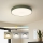 Brilagi - Luminaria de techo LED regulable POOL LED/48W/230V 3000-6000K Ø 40 cm verde + control remoto