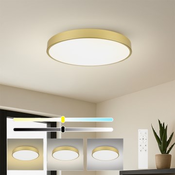 Brilagi - Luminaria de techo LED regulable POOL SMART LED/100W/230V 3000-6000K 80 cm dorada Wi-Fi Tuya + mando a distancia