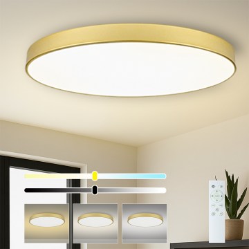 Brilagi - Luminaria de techo LED regulable POOL SMART LED/180W/230V 3000-6000K 120 cm dorada Wi-Fi Tuya + mando a distancia