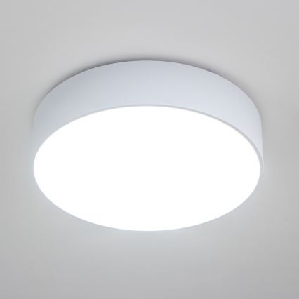 Brilagi - Luminaria de techo para baño POOL 4xE27/15W/230V, diámetro 50 cm, IP54, blanca
