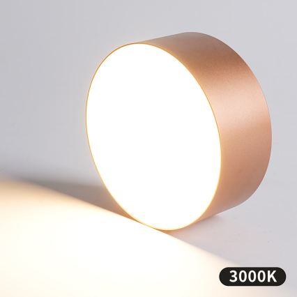 BRILAGI - Luminaria de techo para exterior FORIS LED/20W/230V Ø 15 cm acabado en bronce IP44