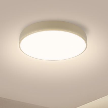 BRILAGI - Lámpara de techo LED POOL LED/36W/230V 3000/4000/6000K diámetro 30 cm beige