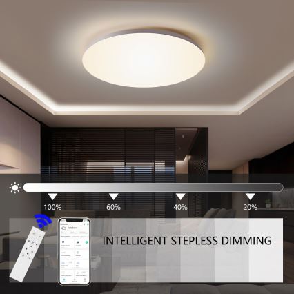 Brilagi - Lámpara de techo LED regulable SMART LED/36W/230V Ø 48 cm 2700-6500K Wi-Fi Tuya + mando a distancia