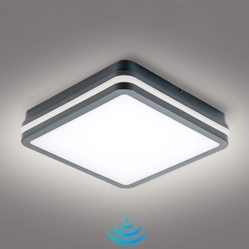 Brilagi - Luminaria exterior LED con sensor de movimiento BENE LED/24W/230V 26x26 cm antracita IP54
