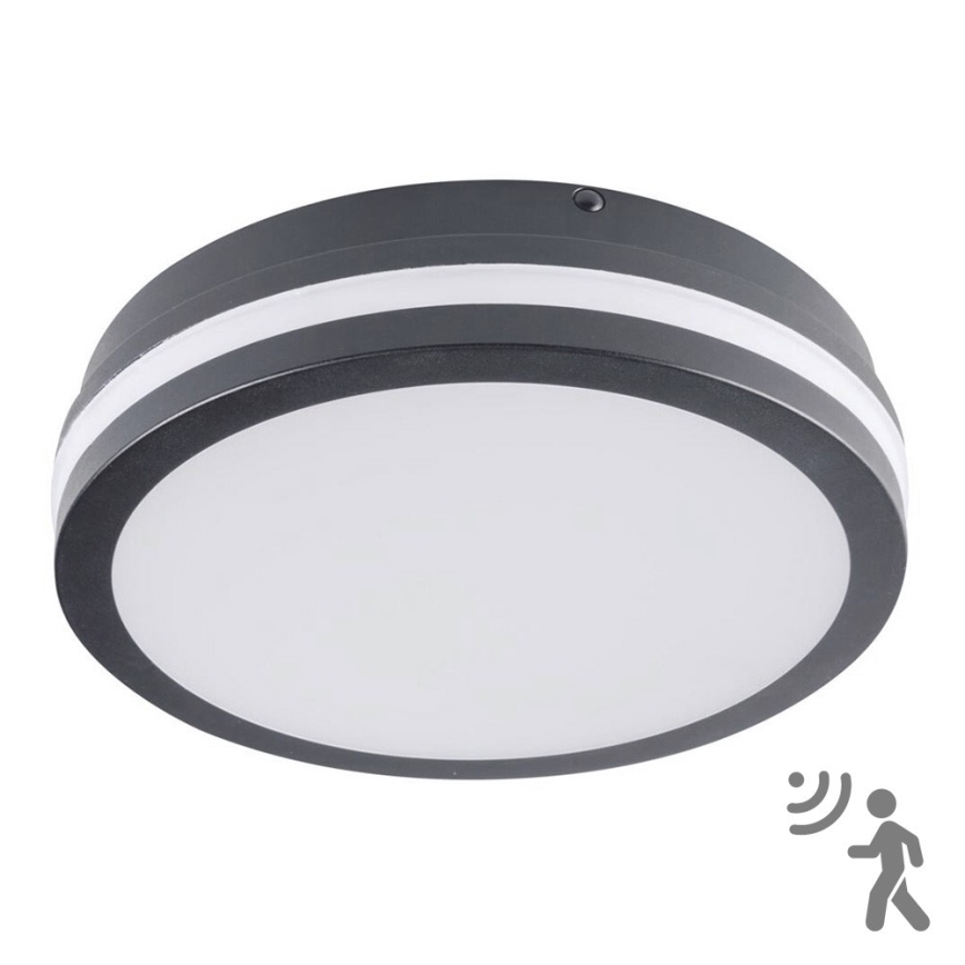 Brilagi - Luminaria LED exterior con sensor BENE LED/18W/230V, diámetro 22 cm, antracita, IP54