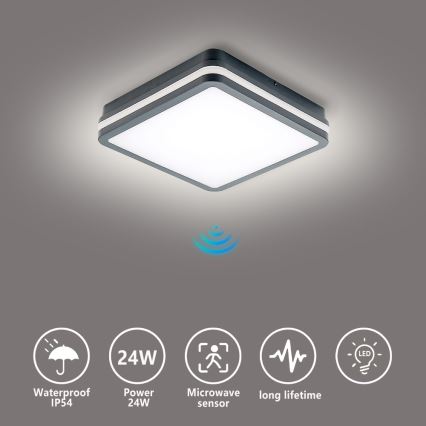 BRILAGI - Luminaria exterior LED con sensor de movimiento BENE LED/24W/230V 26x26 cm antracita IP54