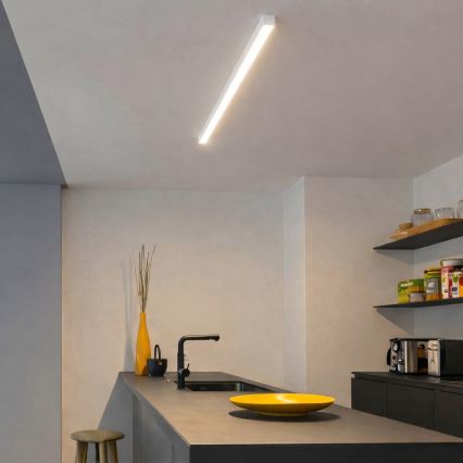 Brilagi - Luminaria LED de superficie para techo FULLDAY LED/20/30/40W/230V 2700/4000/6000K 120 cm UGR19 blanca
