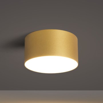 BRILAGI - Luminaria LED de techo para baño FORIS LED/14W/230V diámetro 12 cm dorada IP44