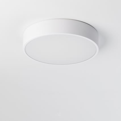 BRILAGI - Luminaria de techo LED para baño POOL LED/24W/230V 3000/4000/5500K diámetro 30 cm IP54 blanca