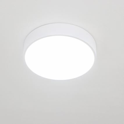 BRILAGI - Luminaria de techo LED para baño POOL LED/24W/230V 3000/4000/5500K diámetro 30 cm IP54 blanca