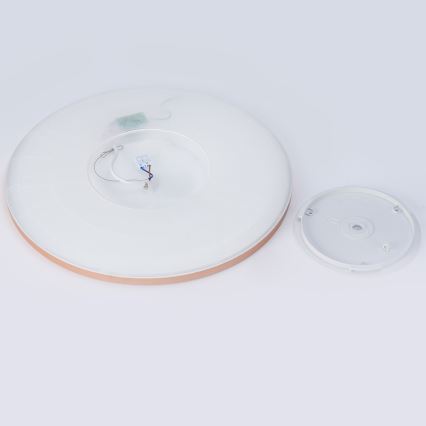 Brilagi - Lámpara de techo para baño ULTRA SLIM LED/24W/230V Ø 42 cm oro rosa IP54
