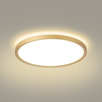 Brilagi - Luminaria LED de techo para baño ULTRA SLIM, 24W/230V, Ø 42 cm, dorada, IP54