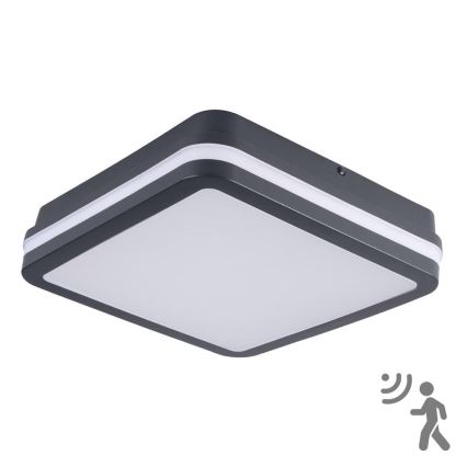 Brilagi - Luminaria LED exterior con sensor BENE LED/18W/230V 22x22 cm antracita IP54