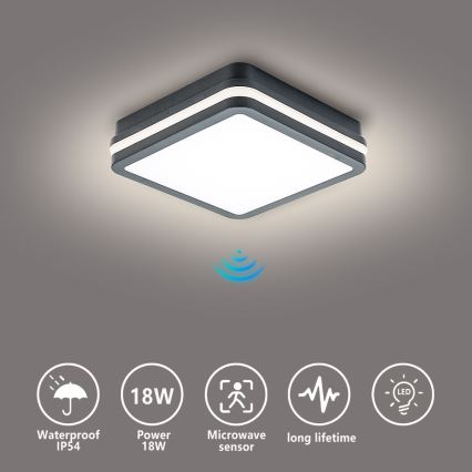 Brilagi - Luminaria LED exterior con sensor BENE LED/18W/230V 22x22 cm antracita IP54
