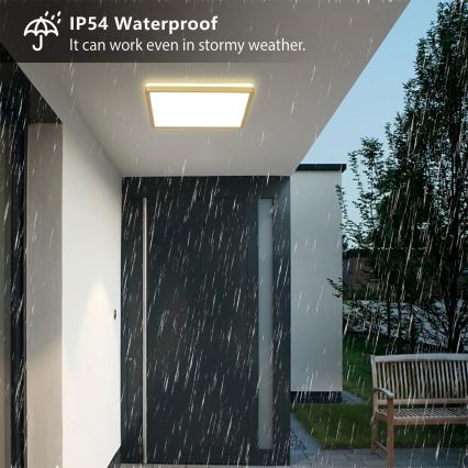 Brilagi - Luminaria LED para baño ULTRA SLIM LED/24W/230V 42x42 cm dorada IP54