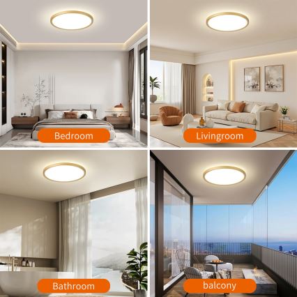 Brilagi - Luminaria LED de techo para baño ULTRA SLIM, 24W/230V, Ø 42 cm, dorada, IP54