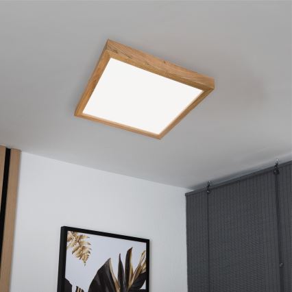 Brilagi - Luminaria de techo LED para baño WOODY FRAME LED/50W/230V 60x60 cm IP44 roble