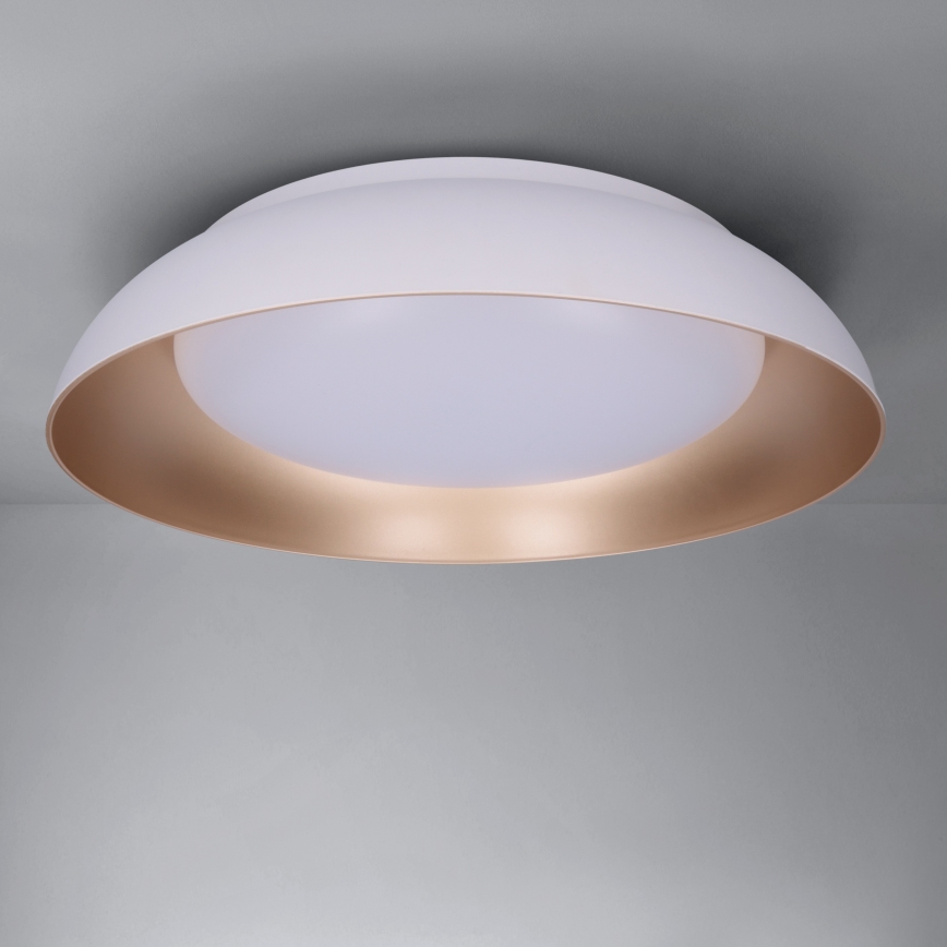 Plafón LED regulable ALVA LED/48W/230V 3000-6500K diámetro 51 cm blanco + mando a distancia