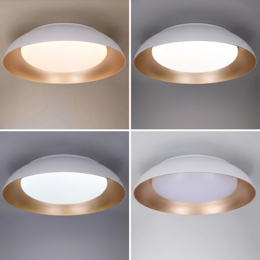 Plafón LED regulable ALVA LED/48W/230V 3000-6500K diámetro 51 cm blanco + mando a distancia