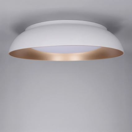 Plafón LED regulable ALVA LED/48W/230V 3000-6500K diámetro 51 cm blanco + mando a distancia