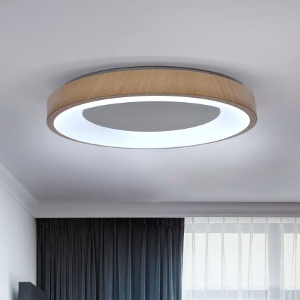 BRILAGI - Plafón LED regulable DORIA LED/60W/230V 3000–6500K Ø 60 cm + mando a distancia