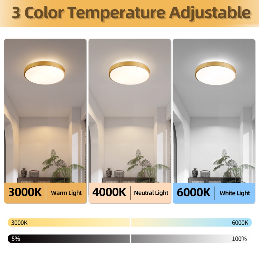 Brilagi - Lámpara de techo LED regulable GLASS POOL DOUBLE LED/48W/230V 3000-6000K 40 cm dorada + mando a distancia