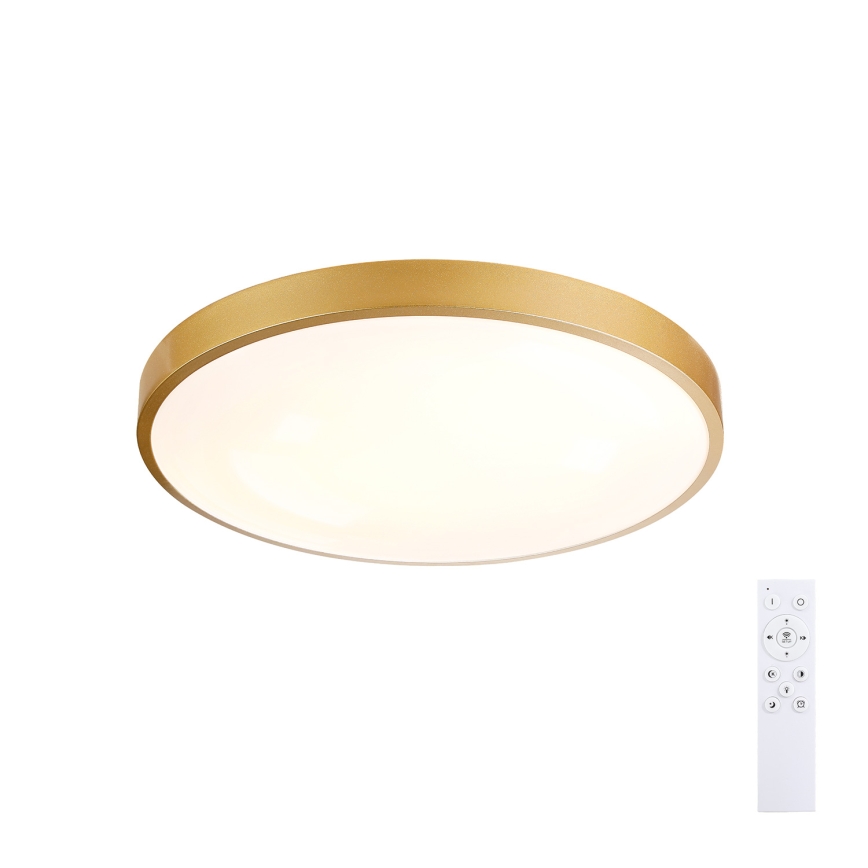 Brilagi - Lámpara de techo LED regulable GLASS POOL DOUBLE LED/48W/230V 3000-6000K 40 cm dorada + mando a distancia